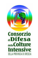 Convegno