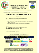 Convegno