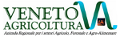 Convegno